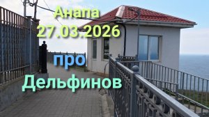 Анапа 27.03.2026 про Дельфинов