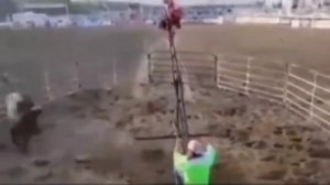 Веселые качели