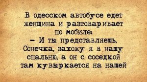 ✡️_Сонечка!_Еврейские_Анекдоты!_Анекдоты_про_Евреев!_Выпуск_#35