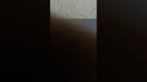 последний шанс последний стрим