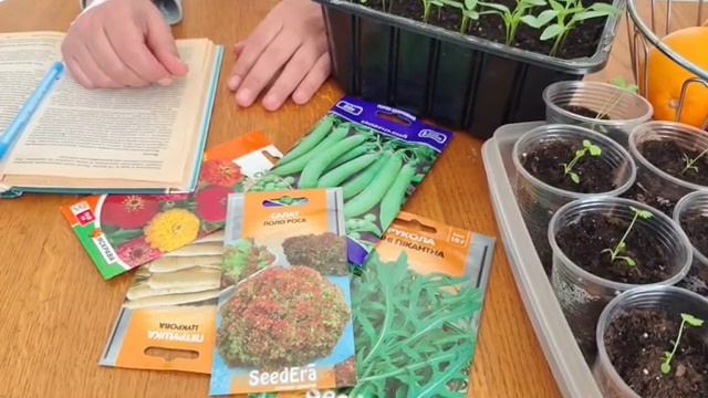 Когда сеять семена в апреле 2026? Лунный календарь посадок 🌱 Лучшие и худшие дни для посева