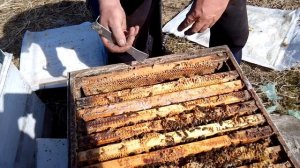 Как подсилить слабыша