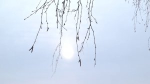 ПОГОДА НА ВЫХОДНЫЕ