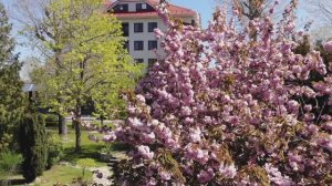 Весна в Анапе Золотые пески