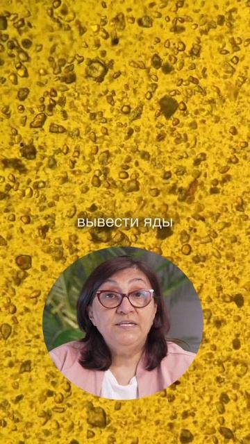 Вот что куркума делает с паразитами. Забирай гайд — ссылка в шапке профиля 👆