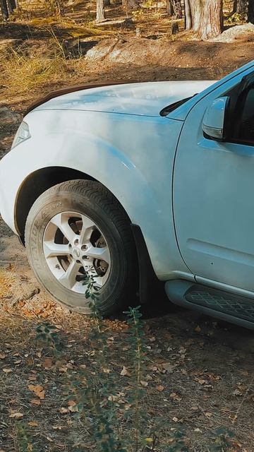 Тропа Паустовского