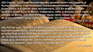 Проповедь Евангелия от Луки 8 глава