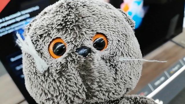 Я еду в вегас