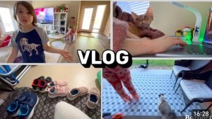 США Влог Оторвать от сердца Шок у Ванессы