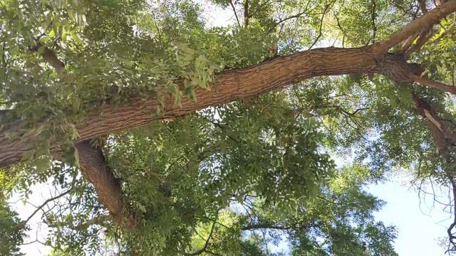 Один из дней города Евпатории | 29 июля 2021 год | Крым | ХАН БАТОН XAH 6ATOH | VID_20210729_164227