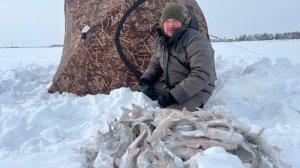 РЫБАЛКА ЗИМОЙ С КОМФОРТОМ В ПАЛАТКЕ С ПЕЧКОЙ НА РЕКЕ ОБЬ. БЕШЕНЫЙ КЛЁВ ЯЗЯ И ЧЕБАКА.