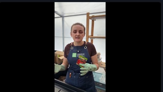 Сеем томаты на рассаду