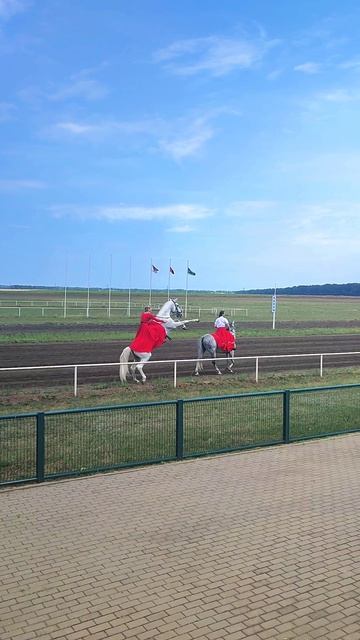 Выступление на лошадях. Конное шоу. На это можно смотреть бесконечно