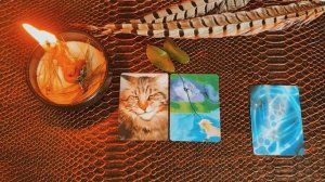 РИТУАЛ НА СОЦИАЛЬНЫЕ СВЯЗИ.