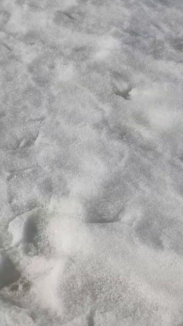 #торосы# весна