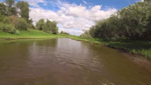 ЛОВЛЯ РЫБЫ БРЕДНЕМ В ТАЁЖНОЙ РЕЧКЕ