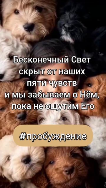 #пробуждение