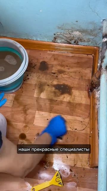 Предлагаем профессиональную генеральную уборку квартир в Мурманске.