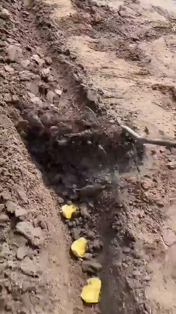 Простой и удобный инвентарь дачника для огорода