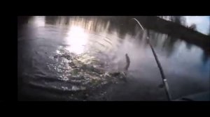 ✔Со спиннингом🎣  за щукой🐟 на деревенский пруд🌊 Часть 1✔