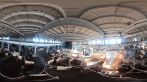 Раунд 4. Клуб Страйк56. Оренбург. Страйкбольная игра 24.03.26. Видео с GoPro Max 360.