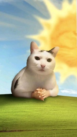 играю песни по заказам из комментариев