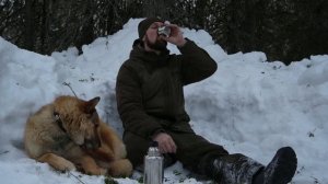 ЖИВУ В ПАЛАТКЕ. ОГРОМНЫЕ ЩУКИ НЕ ЛЕЗУТ В ЛУНКИ. ОХРАНА ДОБЫЧИ. ПОДЛЕДНАЯ РЫБАЛКА.