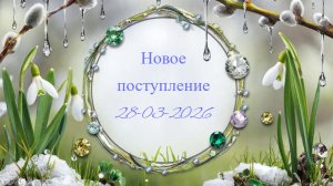 Новое поступление 28-03-2026