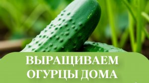 ВЕК ЖИВИ, ВЕК УЧИСЬ.