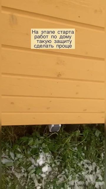 Мыши в деревянном и каркасном доме. Помогает ли противомышиная сетка? Проверяем этап строительства.