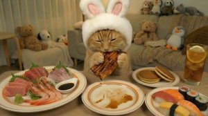 Ужин котика