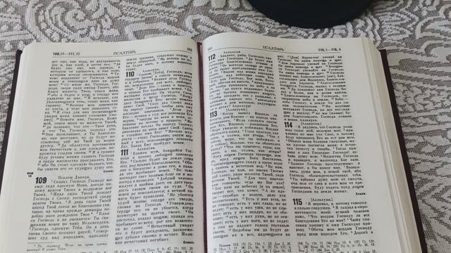 # День 163#  Пища для моего духа #  Псалтырь  гл. 113 #ПС v1.0 #