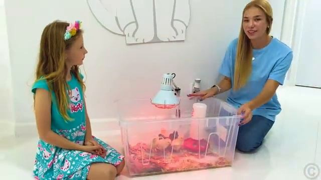 Настя узнает как на самом деле важно читать книги [get.gt]