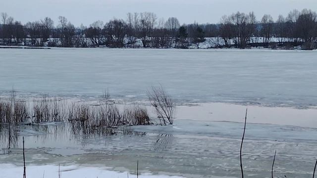 Река очень быстро освобождается ото льда…