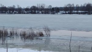 Река очень быстро освобождается ото льда...