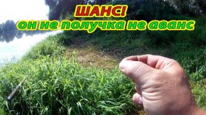 Ох, уж эти ГОЛАВЛИ! Леску рвут, крючки ломают попадаться не желают. Рыбалка на реке.