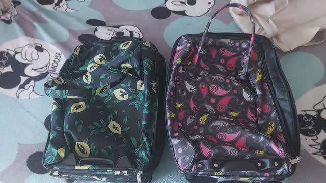 Съездила в отдел миграции/ Новые сумки на колесах🧳