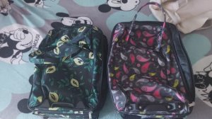 Съездила в отдел миграции/ Новые сумки на колесах🧳