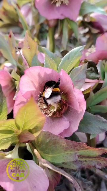 Почему я не хочу жить в Сибири?