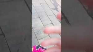 трансляция