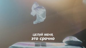 Сергей Куренков - Целуй меня, это срочно!