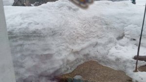 Скромный ужин🤣