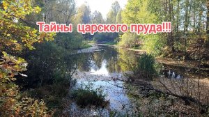 Сколько же здесь интересных находок!!! С металлоискателем по краю берега барского пруда!