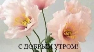 Всего по маленьку; купили цветов, сделали перцовку, моя скатерть.