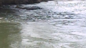 DSCN8589 Река Зеленчук Невинномысск