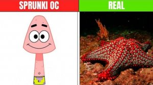 НОВЫЙ СПРУНКИ ПАТРИК СТАР ⭐ ИЗ МУЛЬТИКА СПАНЧ БОБ 🧽!!! SPRUNKI ПАТРИК В РЕАЛЬНОЙ ЖИЗНИ! 😼😺🙀