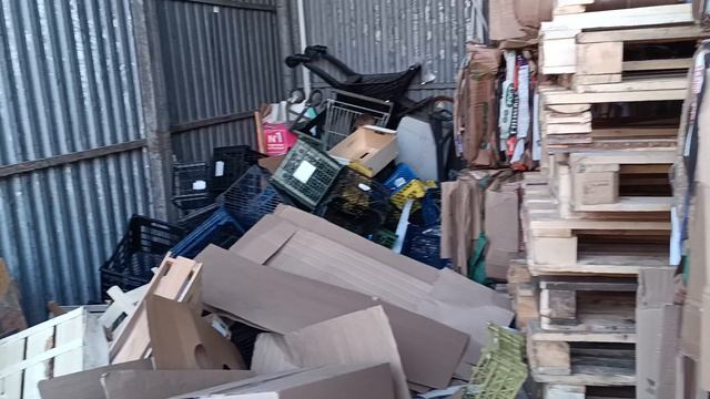 В крысу летят помидоры