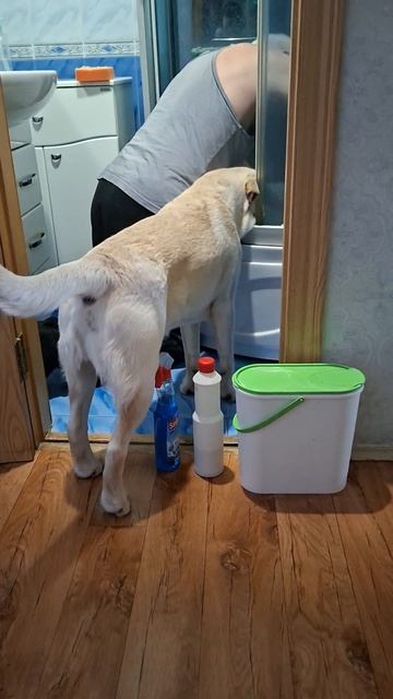 Бригада «Хвост и Ключ»:Симба и папа чинят душ!🔨Тотальный контроль качества засоров в самом разгаре!