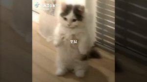 ты знаешь кому это отправить❤