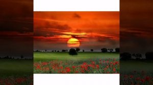 'Выйду ночью в поле с конем,кавер на песню в исполнении Елены Костицыной.'